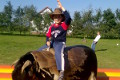Kalandfarm - Rodeo bika 2